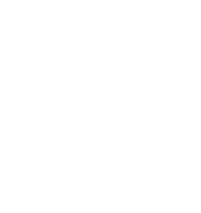 GEST.EX.